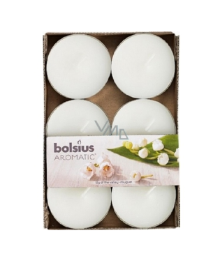 Αρωματικό Ρεσώ 8 Ωρών (Bolsius Aromatic) 6άδα - Lily Of The Valley