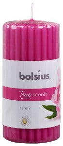 Αρωματικό Κερί Κορμός Bolsius True Scents 120/60mm-Παιώνια